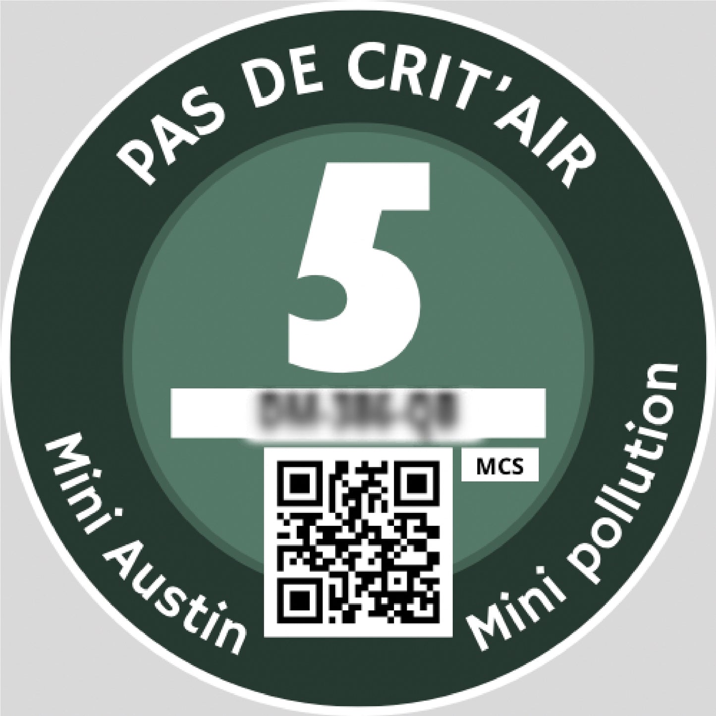 Crit'Air sticker
